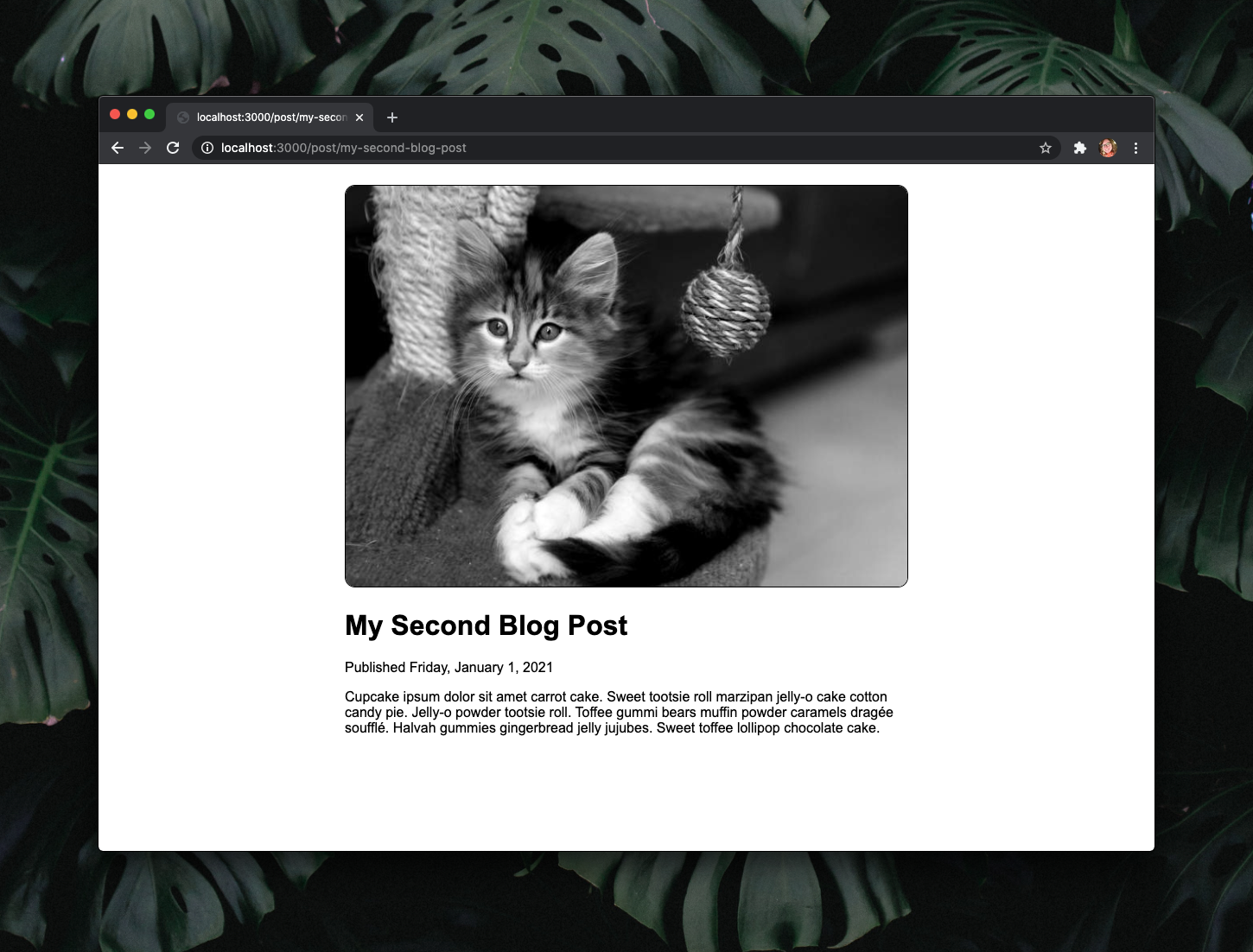 Webpage showing a black and white image of a random cat from PlaceKitten.com, the blog post title in bold font, the publish date, and the post content.